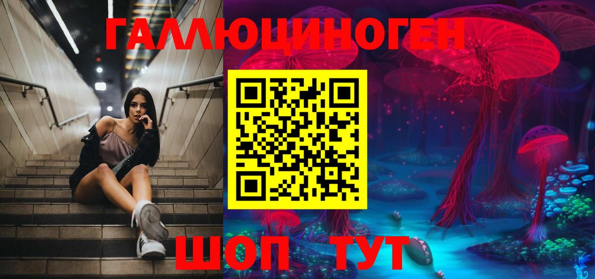 Галлюциногенные грибы Magic Shrooms  Вход с VPN  Северобайкальск 